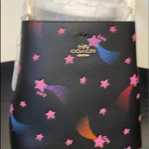 Coach small town purse